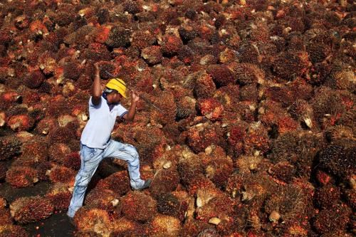 Malaysia: El Nino drags down palm oil output hinh anh 1