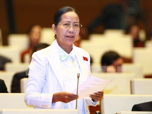 Legislators appreciate efforts by President, Government hinh anh 1