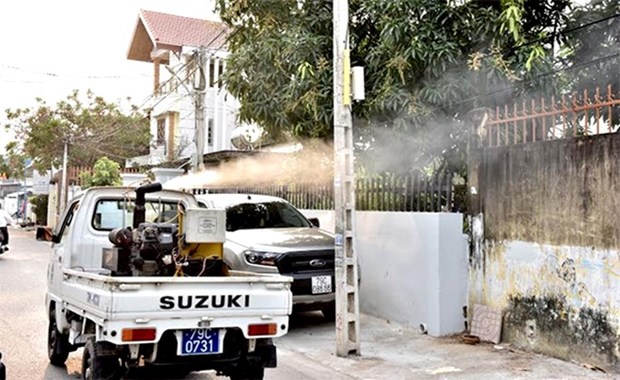 Khanh Hoa takes drastic measures to curb dengue fever, Zika virus hinh anh 1