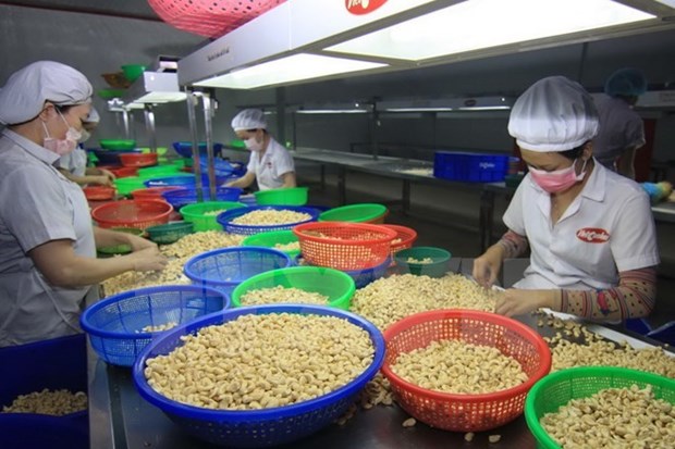 WTO: Vietnam records impressive export-import growth hinh anh 1