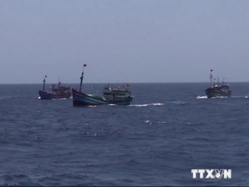Malaysia detains 23 Vietnamese fishermen hinh anh 1