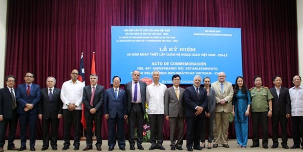 Meeting marks Vietnam - Chile diplomatic relations hinh anh 1