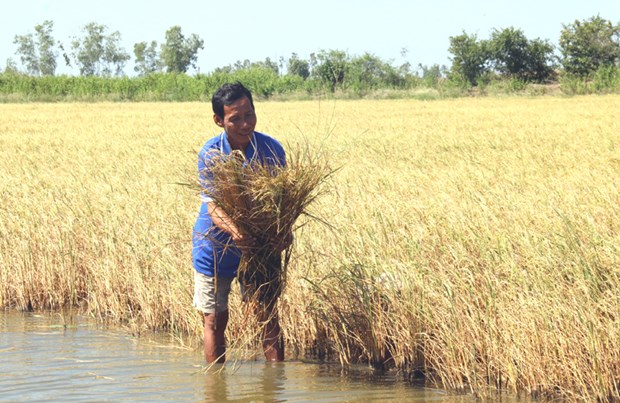 Localities continue to take measures against drought hinh anh 1