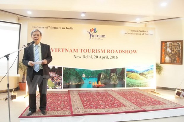 Vietnamese Embassy promotes tourism in India hinh anh 1