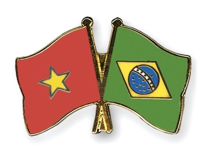 Vietnam, Brazil boost friendship hinh anh 1