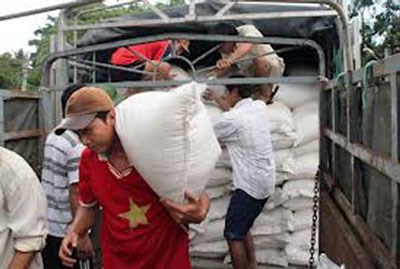 Phu Yen, Tuyen Quang to get rice aid hinh anh 1