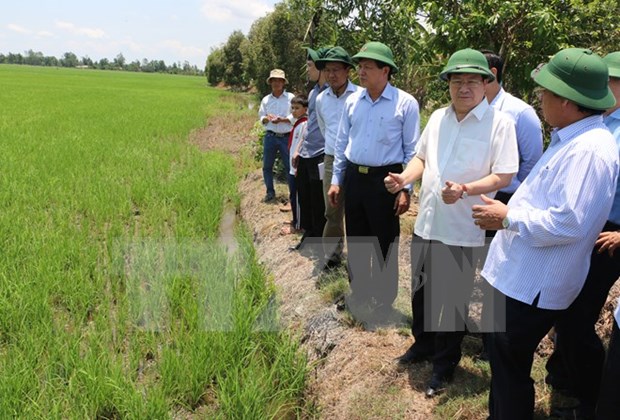 Deputy PM visits disaster-hit localities in Bac Lieu hinh anh 1