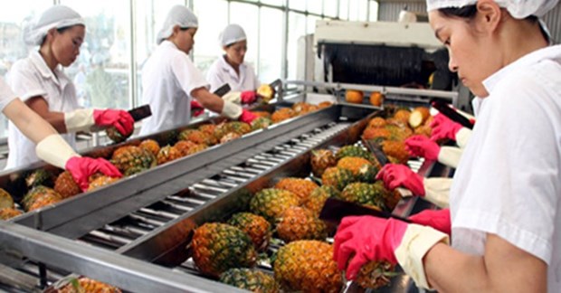 Fruit exports likely to reach over 2 billion USD hinh anh 1
