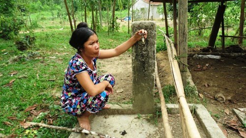 Ca Mau: Over 8,000 households in urgent need of fresh water hinh anh 1