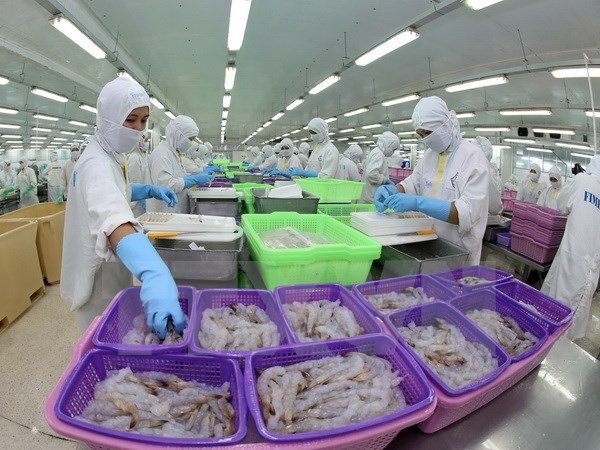 Shrimp export sales expected to recover after difficult 2015 hinh anh 1