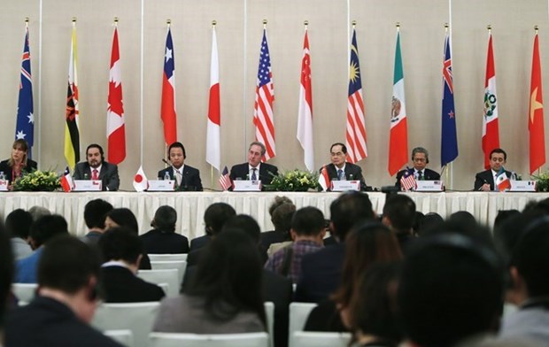 TPP to be submitted to NA for ratification hinh anh 1