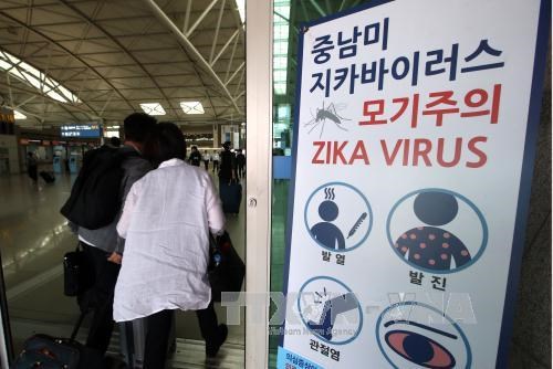 HCM City: No Zika virus found after city-linked RoK case reported hinh anh 1