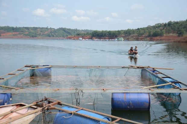 Thua Thien-Hue: aid given to fishermen affected by unusual fish death hinh anh 1