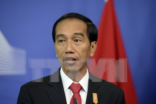 Indonesia boosts ties with RoK, Russia hinh anh 1