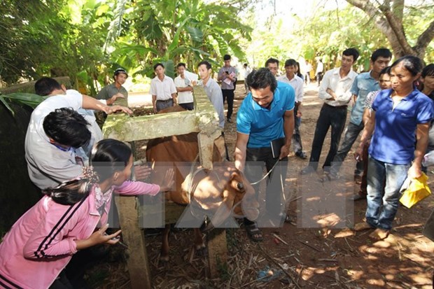 Farmers ease shortage of vocational teachers hinh anh 1