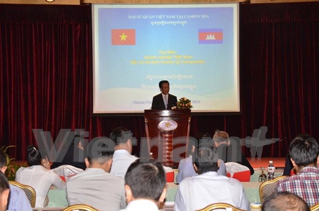 Vietnam-Cambodia economic partnership can grow more strongly: diplomat hinh anh 1