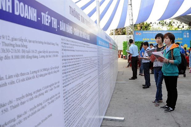 Educated struggle to secure jobs: report hinh anh 1