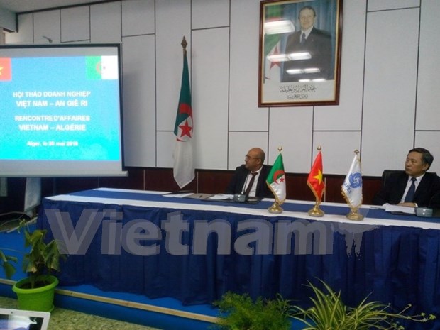 Vietnamese, Algerian enterprises seek to expand links hinh anh 1