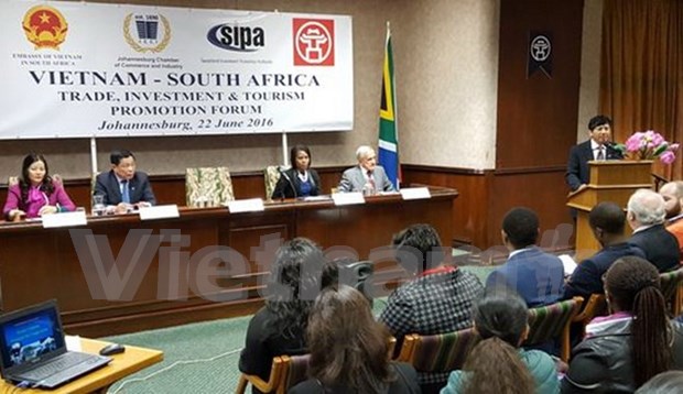 Vietnam, South Africa boost trade, tourism partnerships hinh anh 1
