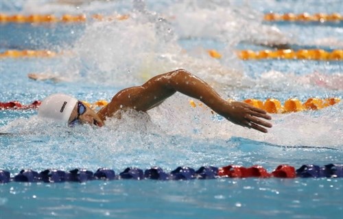 Vietnamese swimmers claim silvers in Hungarian tournament hinh anh 1