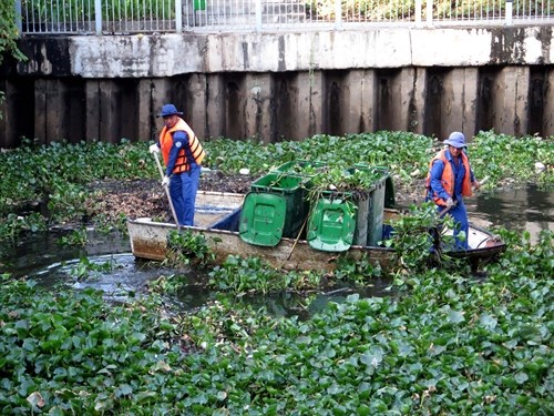 HCM City intensifies anti-pollution, canal cleanup efforts hinh anh 1