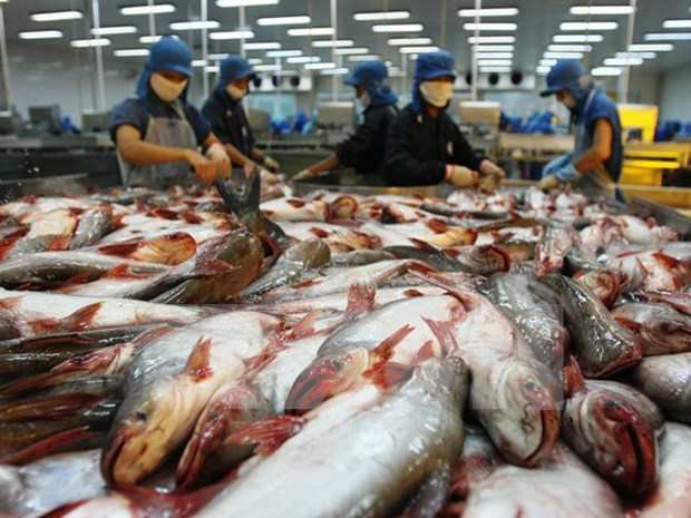 Export of farmed fish fetches nearly 3.1 billion USD hinh anh 1