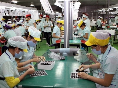 Labour demand grows in HCM City hinh anh 1
