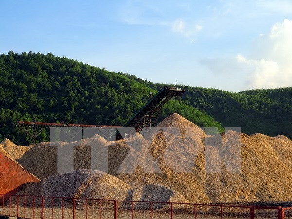 Woodchip exports tumble, numerous difficulties remain hinh anh 1