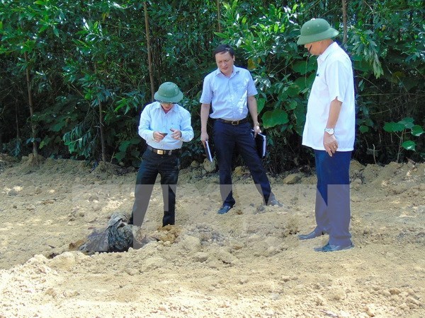 Formosa’s waste dumped in Ha Tinh removed hinh anh 1