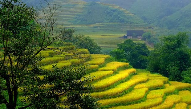 Lao Cai’s new destinations increasingly attractive to tourists hinh anh 1