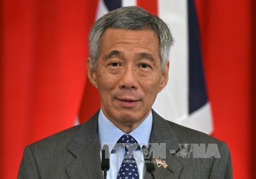 Singapore to send medical team to Iraq in anti-IS efforts hinh anh 1
