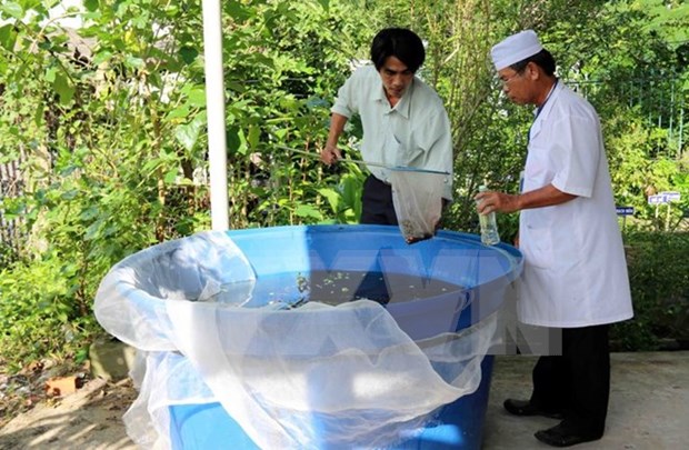 Eight dengue fever prevention teams formed hinh anh 1