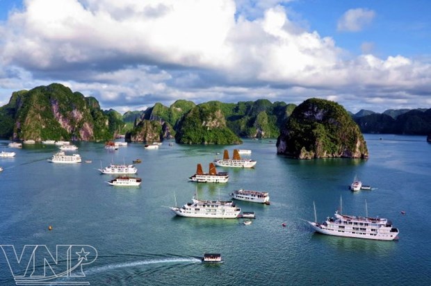 Tourism contributes significantly to Vietnam’s economy hinh anh 1