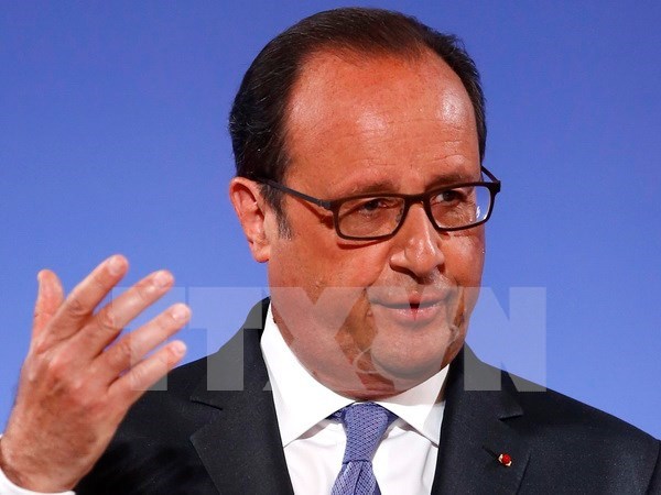 French President to pay State visit to Vietnam hinh anh 1
