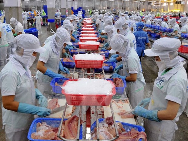 Bac Lieu earns 288 million USD from seafood exports hinh anh 1