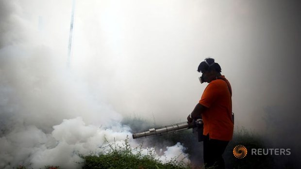 Thailand records around 200 Zika virus cases hinh anh 1