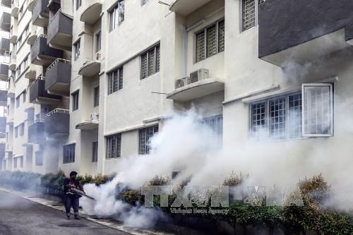 Malaysia suspects new Zika virus type hinh anh 1