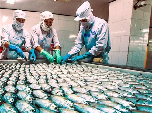 Aquaculture Vietnam 2016 to take place in October hinh anh 1