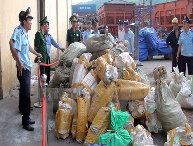Two tonnes of suspected elephant tusks found at Sai Gon port hinh anh 1