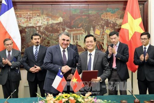 Chilean Deputy Foreign Minister visits Vietnam hinh anh 1
