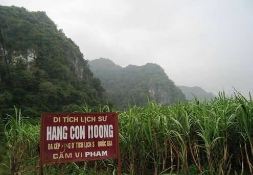 Special exhibition on Con Moong cave, nearby relic sites hinh anh 1