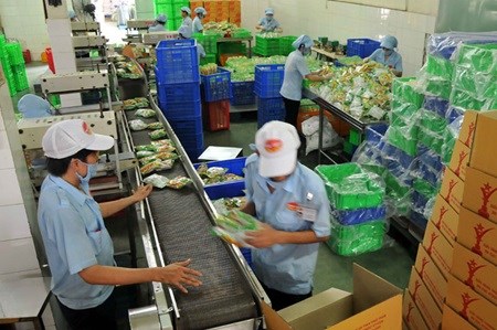 Experts urge firms to study laws for TPP hinh anh 1