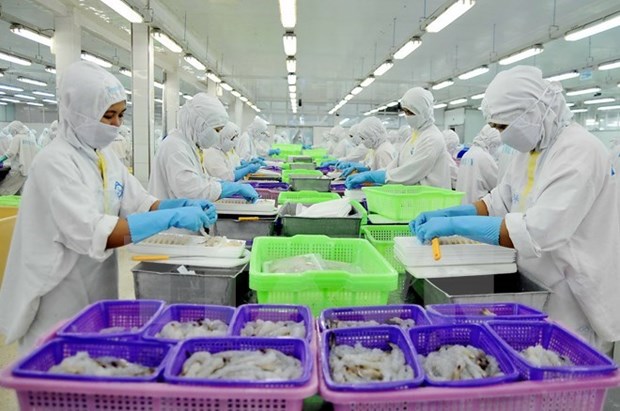 Public, private sectors partner to develop fisheries sustainably hinh anh 1