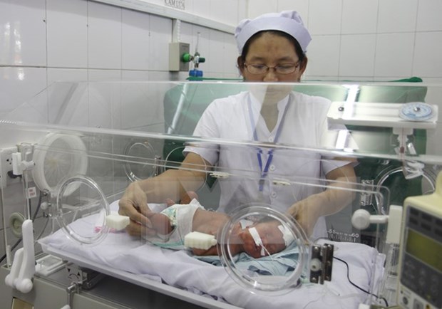 Vietnam discusses hospital quality improvement hinh anh 1