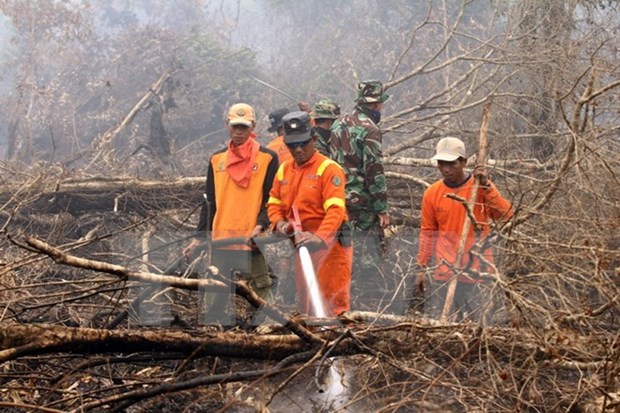 Indonesia sends soldiers to contain forest fires hinh anh 1