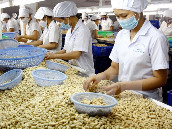 Conference boosts agricultural export hinh anh 1