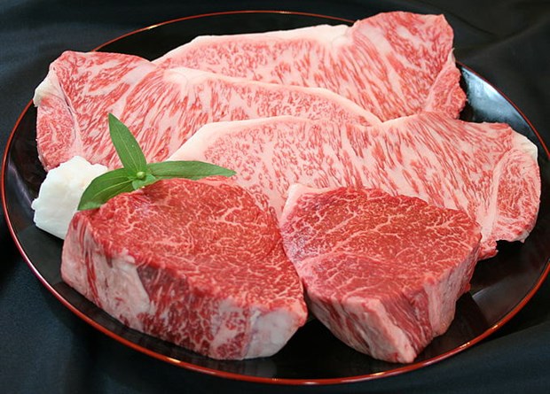 Japan’s beef cows to be raised in Ha Nam hinh anh 1