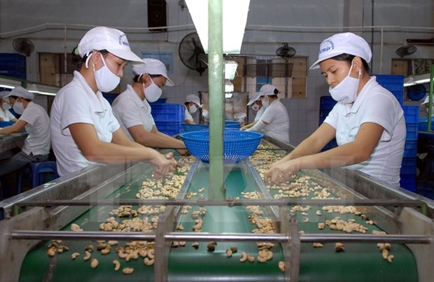 Workshop seeks to better SMEs’ integration capacity hinh anh 1