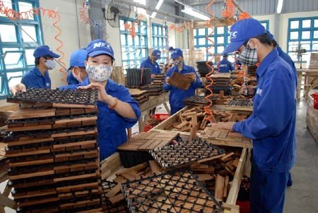 Timber exports likely to grow 10 percent hinh anh 1
