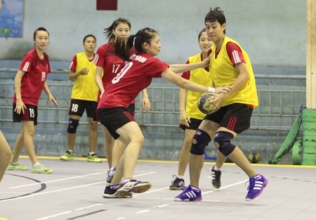 Vietnam to host Southeast Asian handball tournament hinh anh 1